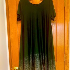 Brand new LuLaRoe Carly Swing Dress